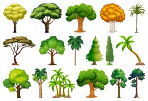 Different Types of Trees