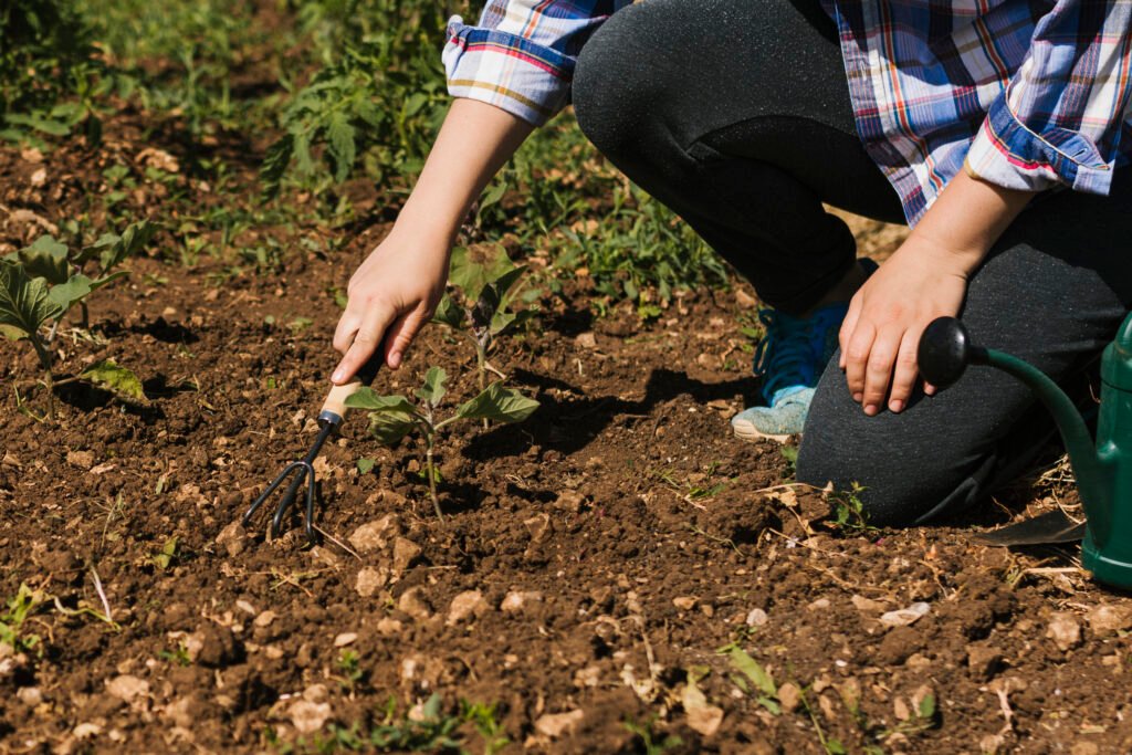 Grow Plants in Pots