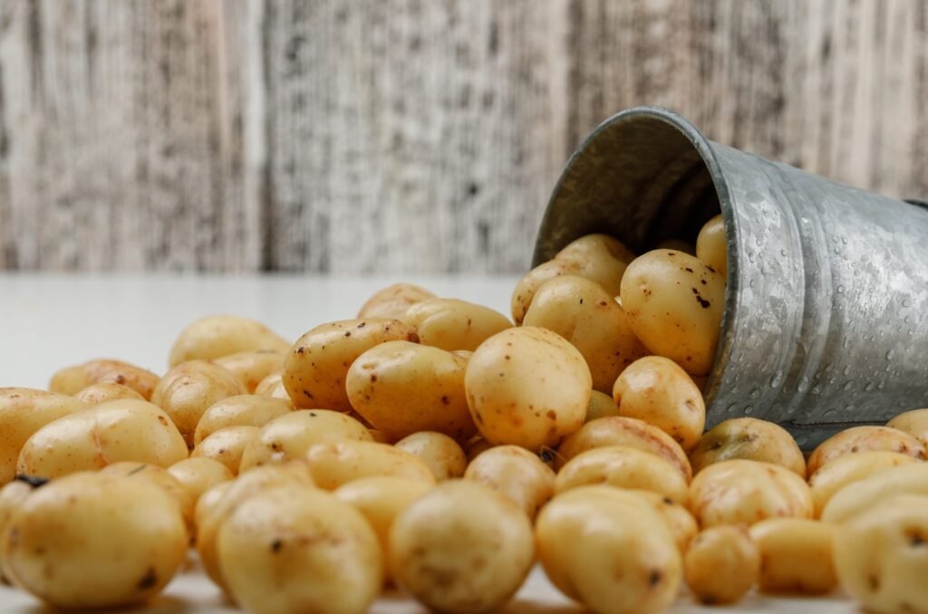 Growing Potatoes in Pots