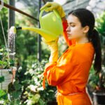 plant care gardening takeoxygen.com