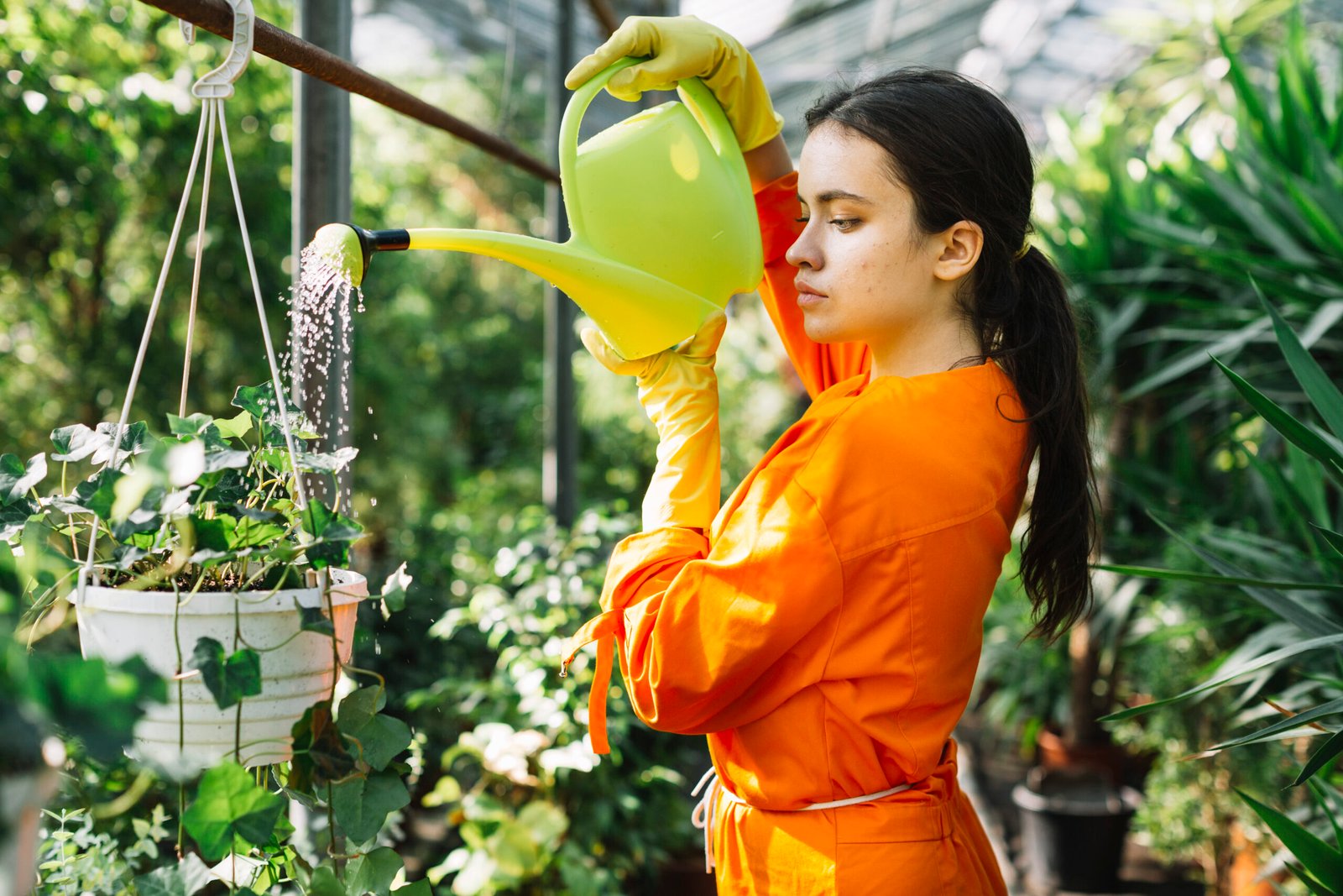 plant care gardening takeoxygen.com