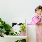Indoor Plants take oxygen