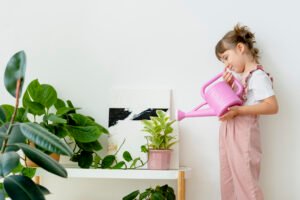 Indoor Plants take oxygen